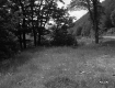 Grassy Field