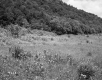 Field by Road and Mountain