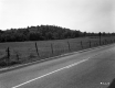 Field by Paved Road