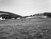 Houses by Field