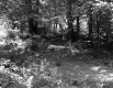 Forest Road
