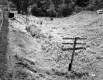 Tracks by Field