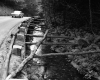 Stream by Road