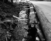 Stream by Road