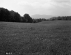 Field, Trees and Mountains