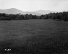Field, Trees and Mountains