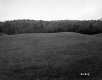 Field and Wooded Hill
