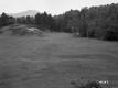 Field and Wooded Hill