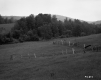 Field with Wire Fences