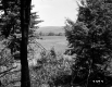 Field from Trees on Hill