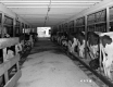 Barn Interior