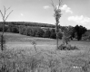Field by Hill
