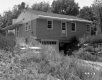 House Surrounded by Plants