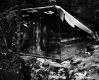 Wooden Structure on Spring
