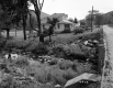 Stream and Bridge