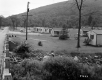 Houses by Road