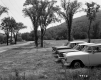 Cars by Road