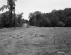 Field by Road