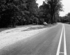Cars by Road