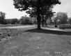 Front Yard by Road