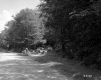 Fork in Dirt Road