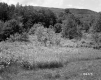 Field by Mountains