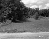 Field by Road