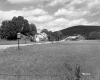 Field by Rt. 100