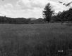 Field and Hills