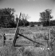 Wooden Gate by Fence
