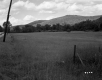 Field by Road and Mountains