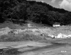 Wooded Hill