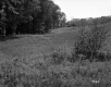 Grassy Meadow