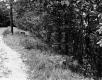 Grassy Slope by Road