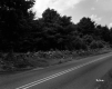 Stone Wall by Road