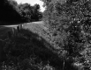 Slope by Road