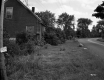 House by Road