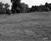 Field by Road