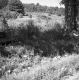 Stone Wall by Hill