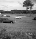 Cars in Field