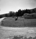 Trailers by Road