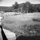 Barton Property, Fenced Fields and Forested Hills