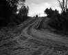 Thompson Property, Road Construction Site