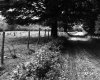 Thompson Property, Fenced Farm Field along Gravel Road
