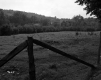 Thompson Property, Fenced Farm Field  