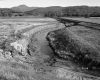 Thompson Property, Open Fields along Railroad Tracks