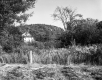 Whipple Farmstead