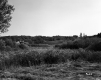 Whipple Farmstead