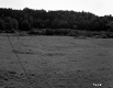 Whipple Property, Farm Fields and Forested Hills