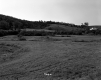 Whipple Property, Farm Fields and Forested Hills